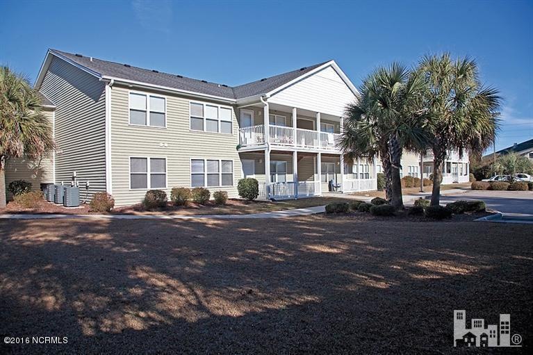 Palms 1