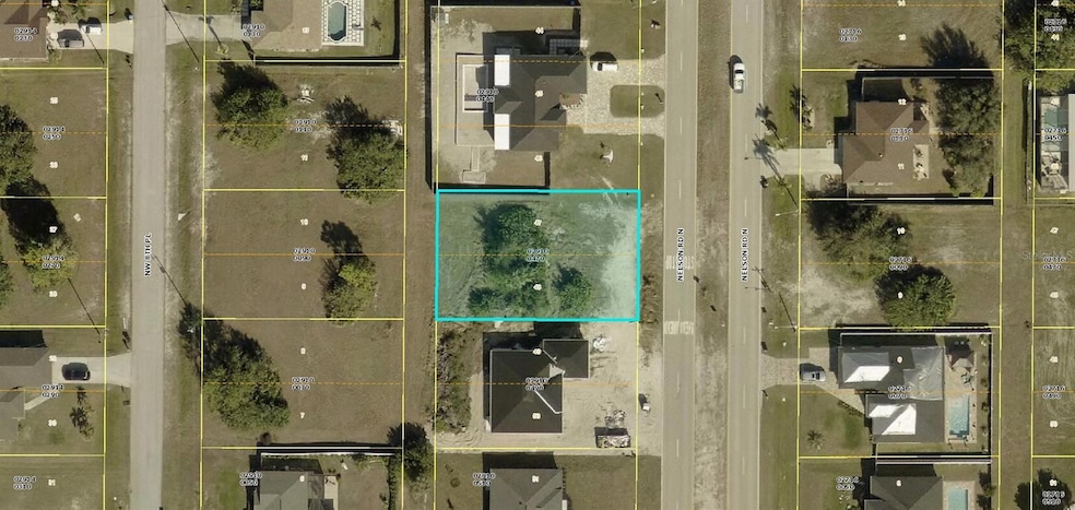 1616 Nelson Rd N, Cape Coral, FL 33993 - photo 1