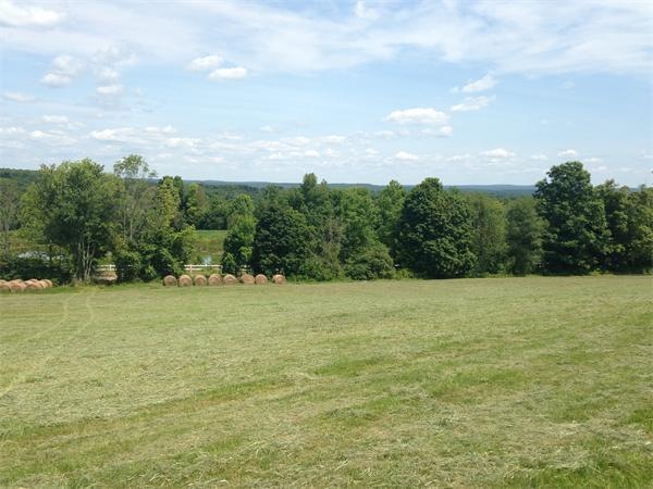 0 Stoddard Rd unit 71609559, North Brookfield, MA 01535 - photo 1