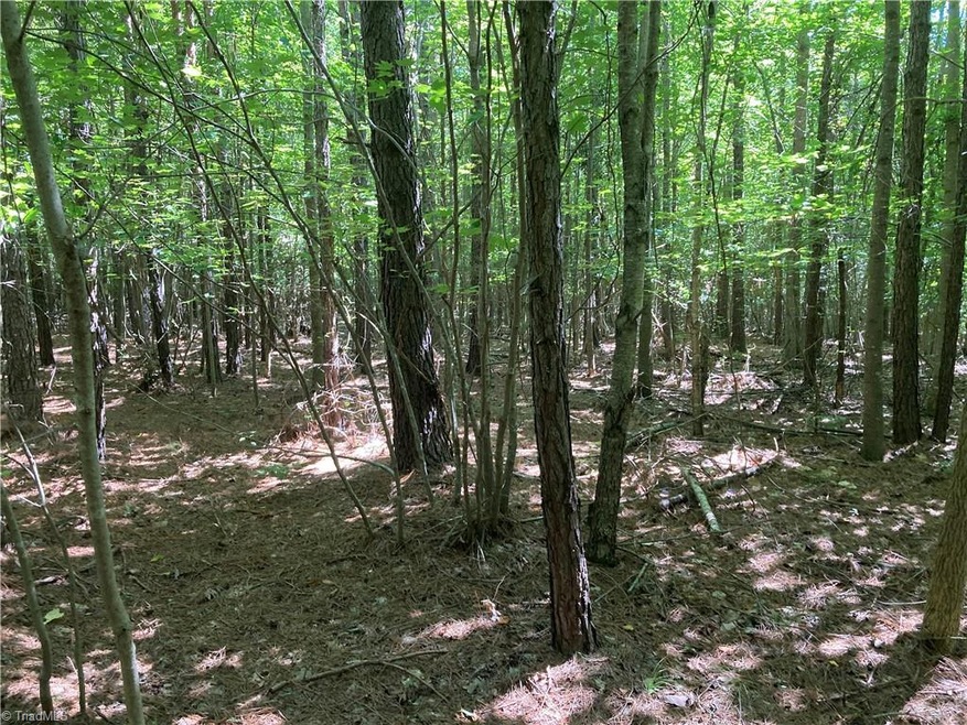 0 Nc Highway 134 N unit 1079012, Star, NC 27375 - photo 1