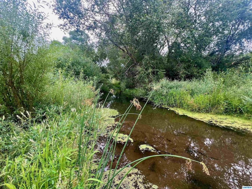 5 Chestnut St unit Tracts 1A and 1B, Mimbres, NM 88049 - photo 1