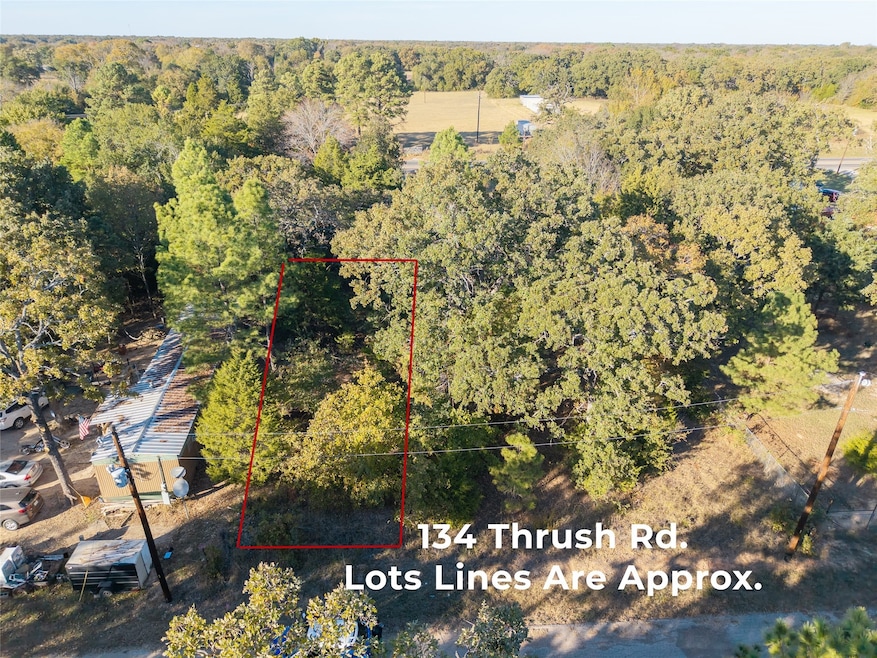 134 Thrush Rd, Mabank, TX 75156 - photo 1