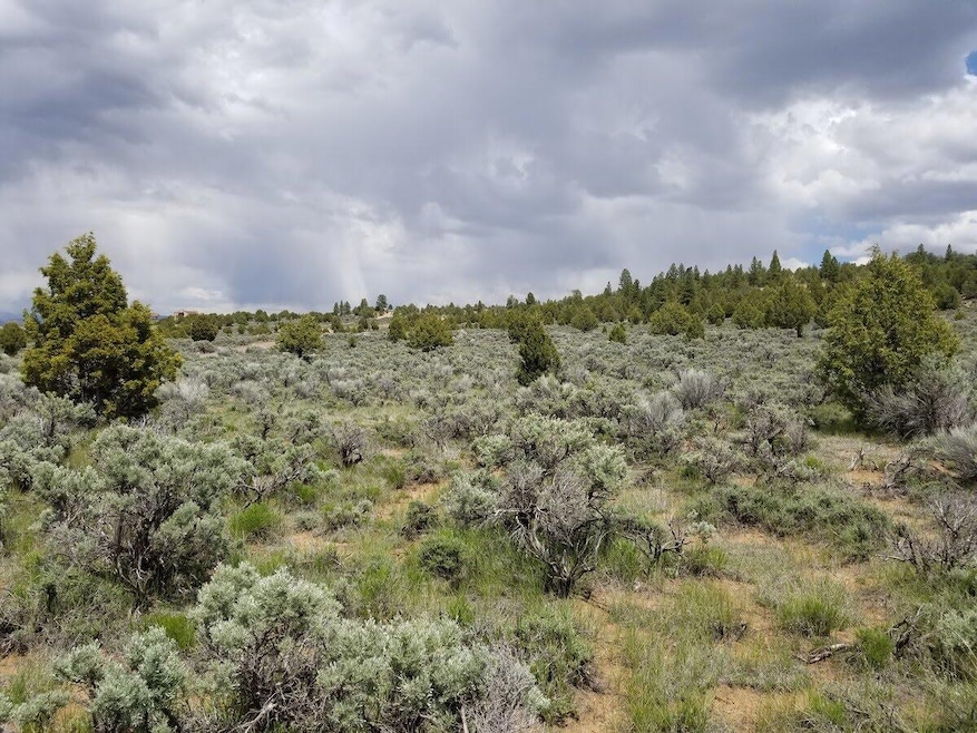 Main picture of the area