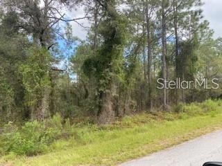 0 SW Viburnum Rd unit MFROM657358, Dunnellon, FL 34431 - photo 1