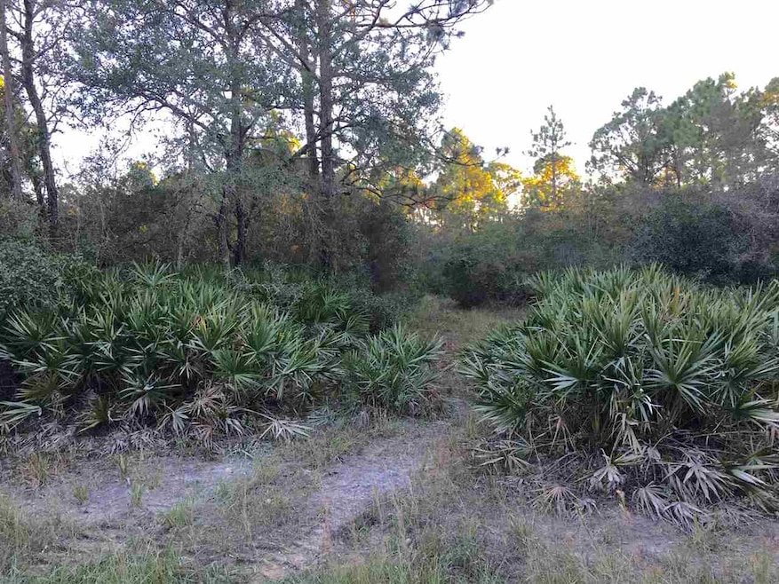 0 Yates Creek Rd unit 275087, Perry, FL 32348 - photo 1