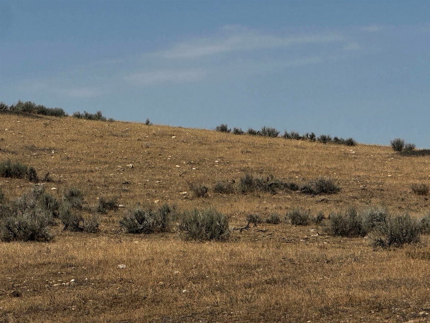 TBD Us Highway 14, Shell, WY 82441 - photo 1