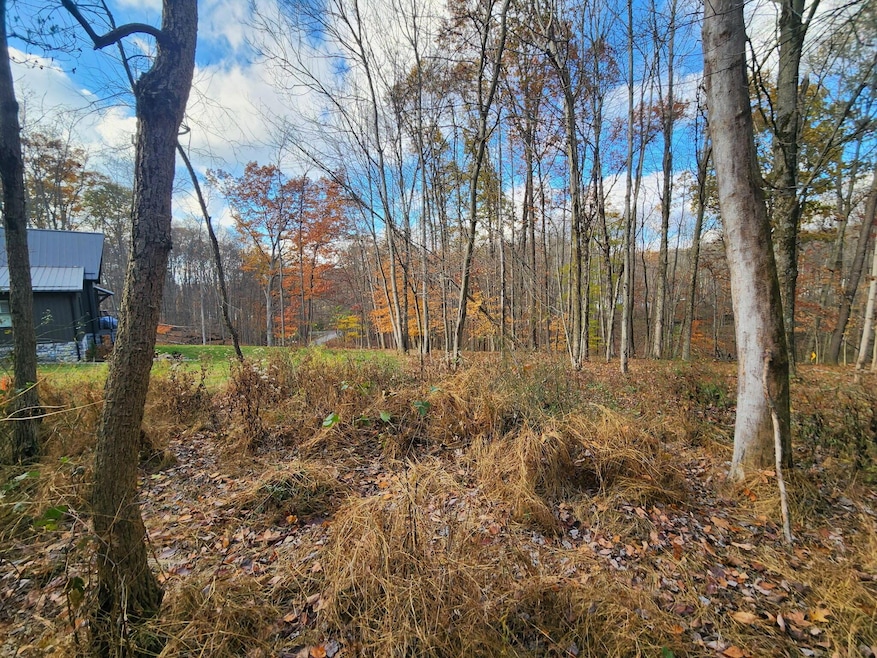 0 King Beach Dr unit 225043317, Howard Township, OH 43028 - photo 1