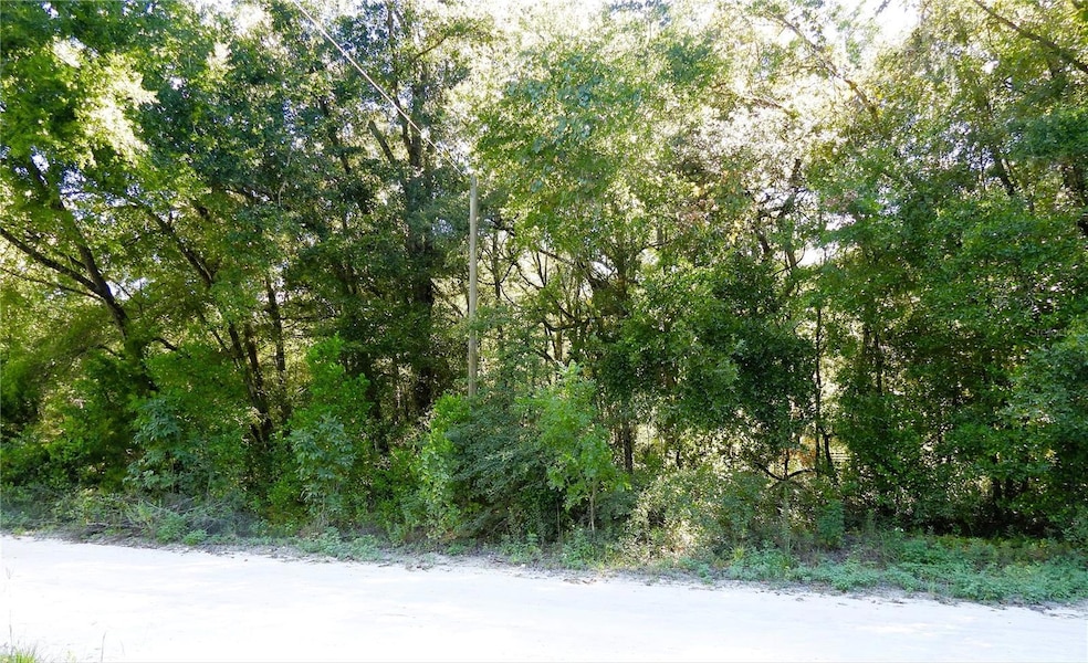 0 SW 150th Ct unit MFROM708998, Ocala, FL 34481 - photo 1