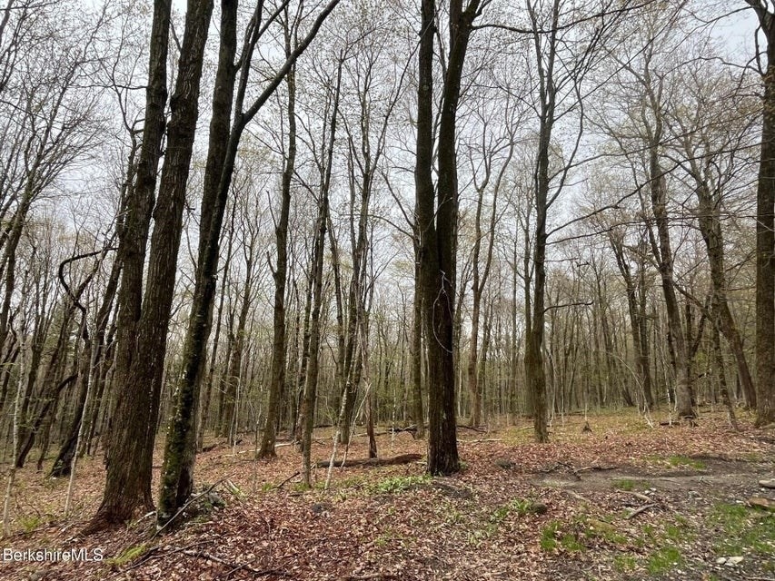 0 Manley Phelps Rd unit 73369553, Monroe, MA 01350 - photo 1