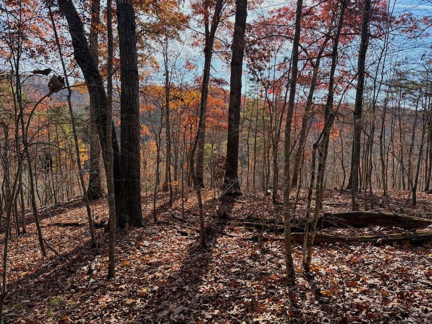 Threemile Creek Rd Lot unit Wp001, Louisa, KY 41230 - photo 1