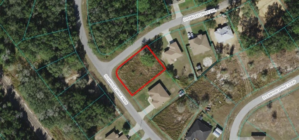 TBD Dogwood Dr Pass, Ocala, FL 34472 - photo 1