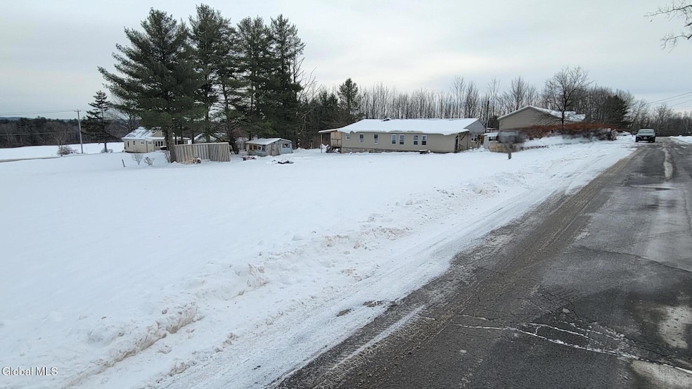 31 Stewart St, Dolgeville, NY 13329 - photo 1