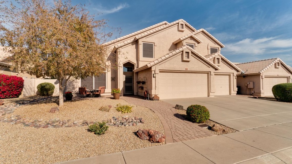 4222 E Rock Wren-1