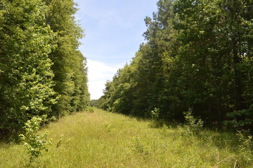 .. Fannie Quin Rd, McComb, MS 39667 - photo 1