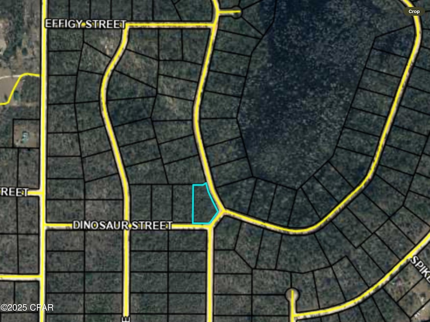 0000 Grand Quiviera Cir, Alford, FL 32420 - photo 1