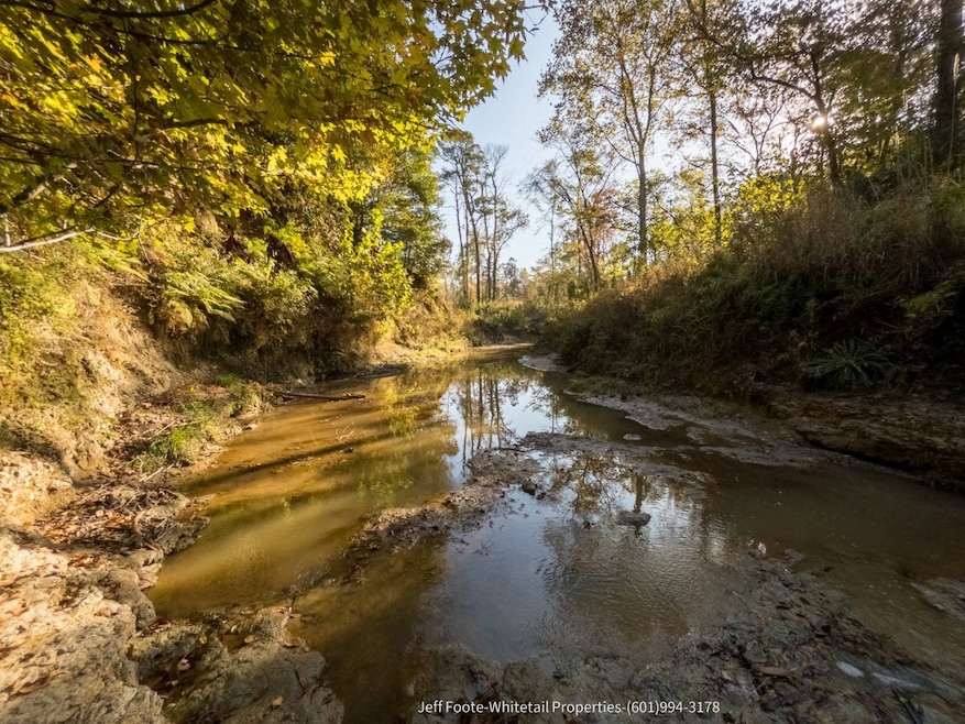 TBD Rodney Rd, Port Gibson, MS 39150 - photo 1