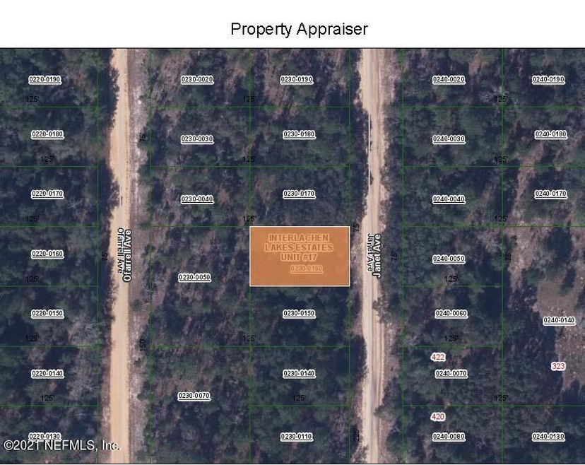 0000 Janet Ave, Interlachen, FL