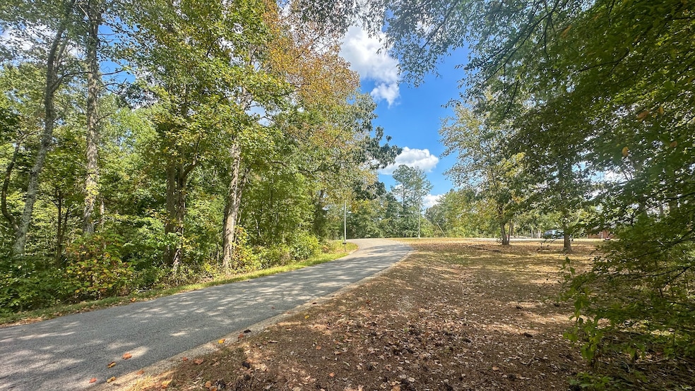 0 Jeanette Holladay Rd, Parsons, TN 38363 - photo 1