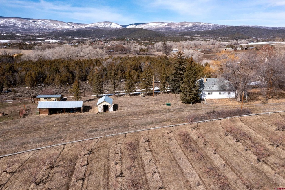 19235 2325 Rd, Cedaredge, CO 81413 - photo 1