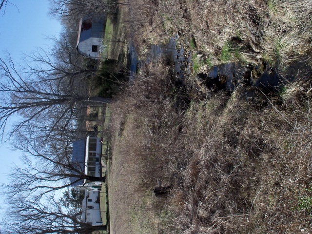 Primary Photo
