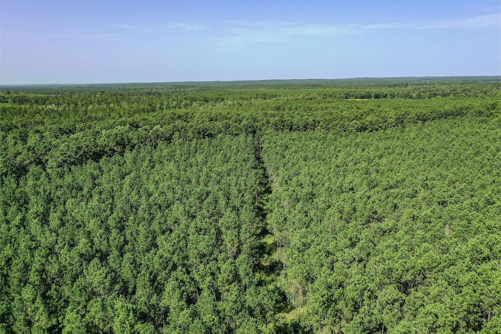 878 Joe Hudson Rd, Trinity, TX 75862 - photo 1