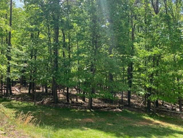 Lot 1, Dan Robin Rd.