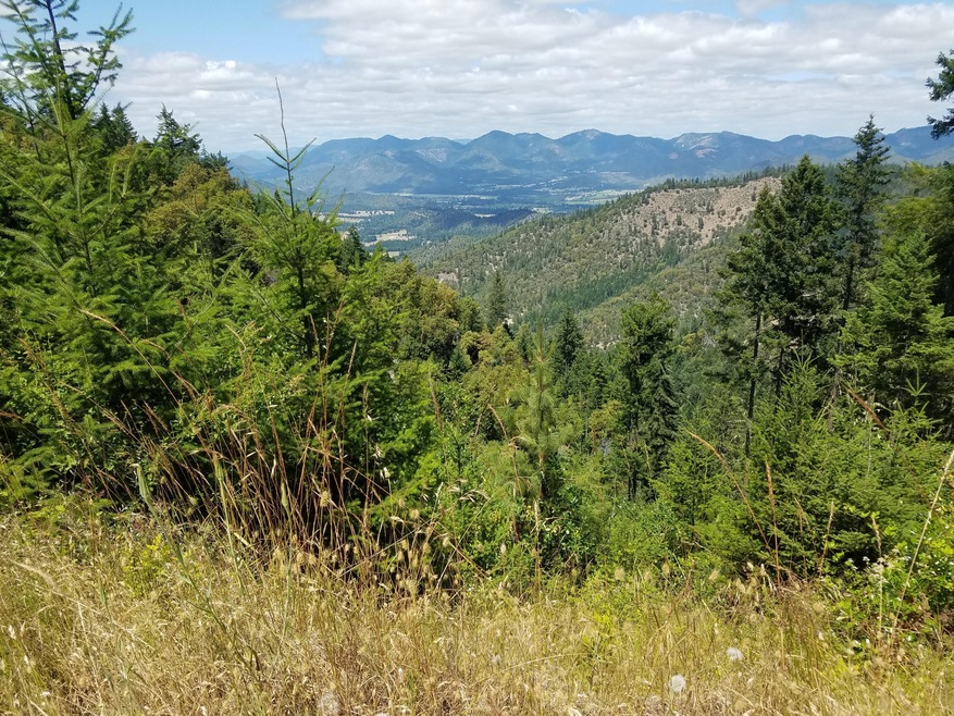 Hill view