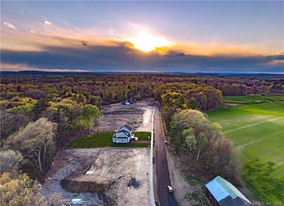 11 Hidden Way, Suffield, CT 06078 - photo 1