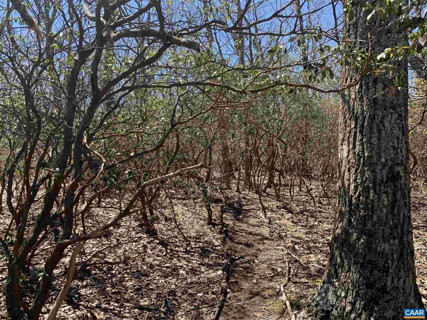 50 Agate Ln unit 41, Rockfish, VA 22967 - photo 1