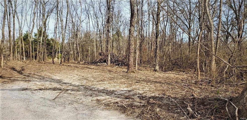 749 Old Fayetteville Rd, Freeburg, IL 62243 - photo 1