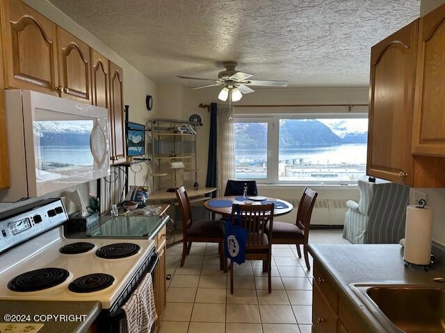 Kitchen / Dining