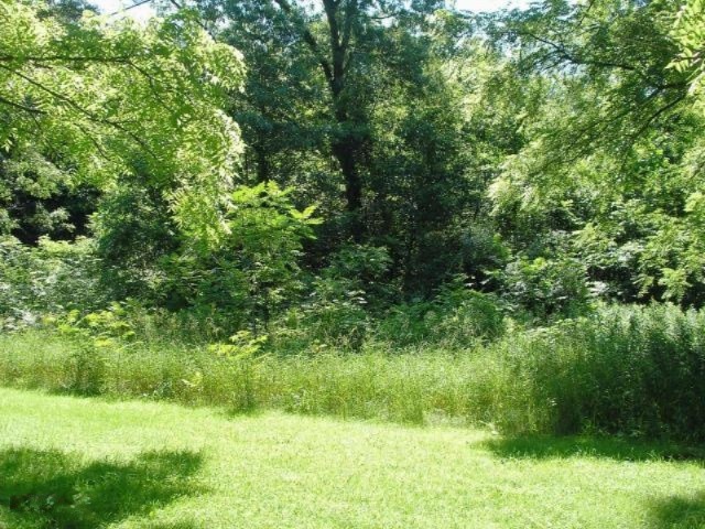 Miller Road