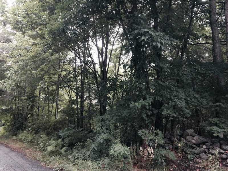 0 E Lantern St unit 1133009, Lincoln, RI 02865 - photo 1