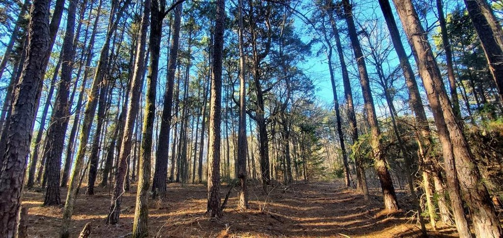 TBD Farm To Market Road 850, Arp, TX 75750 - photo 1