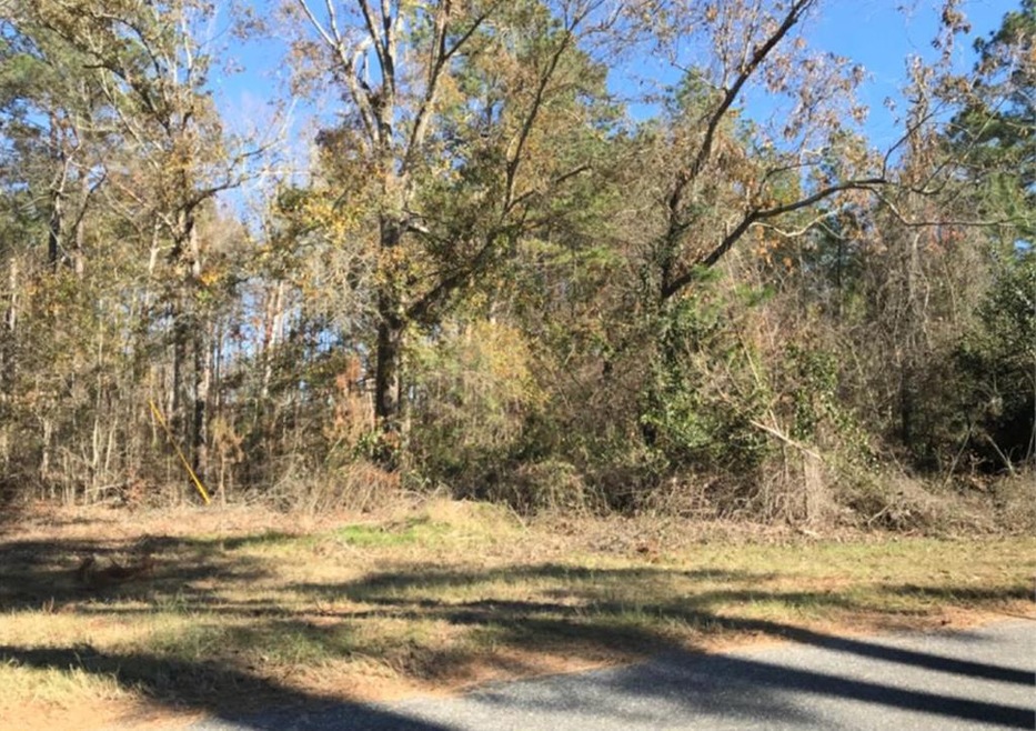 Lot 1 Scenic Route, Cordele, GA 31015 - photo 1