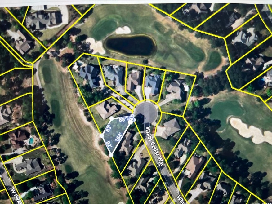 239 WHITE CEDAR - PLAT