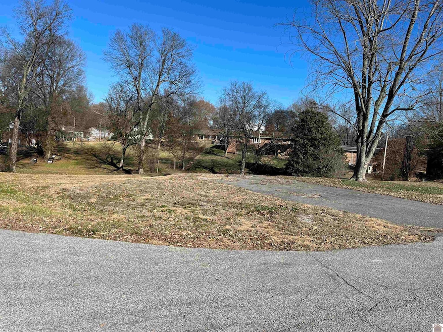 245 Myrna Dr, Paducah, KY 42003 - photo 1