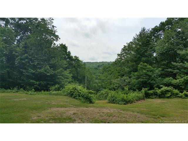 658 Washington Rd, Woodbury, CT 06798 - photo 1