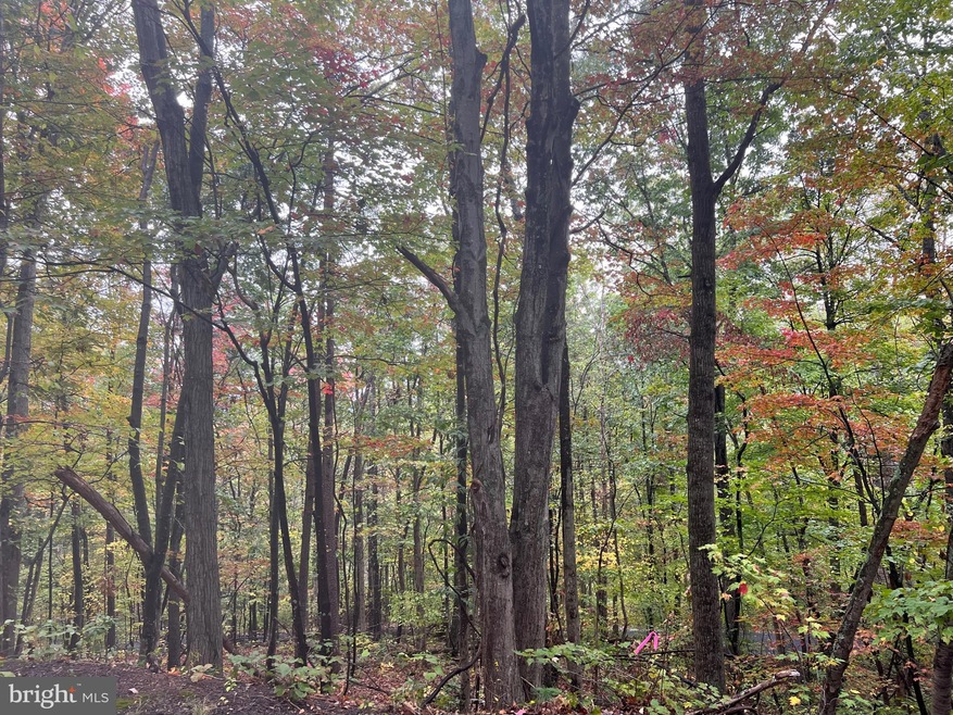 0 Dale Lot 18, Basye, VA 22810 - photo 1