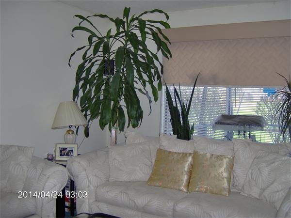 50 Meadow St unit 80, Amherst, MA 01002 - photo 1