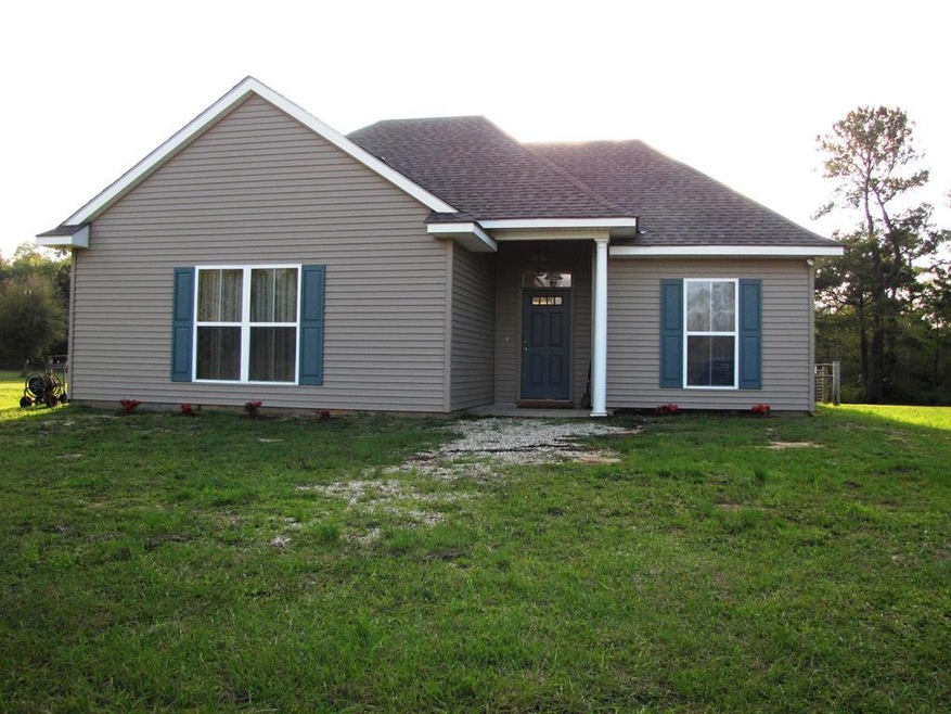 24507 Rester Rd, Picayune, MS 39466 - photo 1