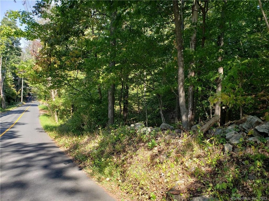 0 Starrs Plain Rd unit 170262194, Danbury, CT 06810 - photo 1