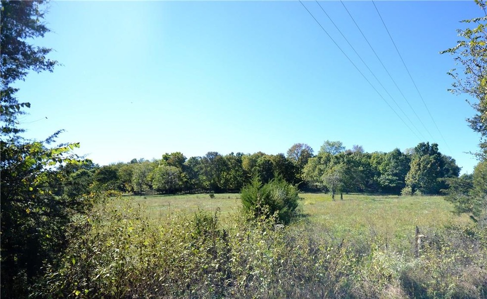 13691 Hogeye Rd, Prairie Grove, AR 72753 - photo 1