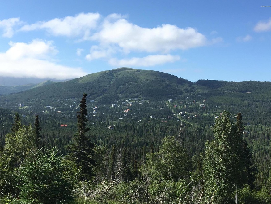 Bear Valley Lot For Sale