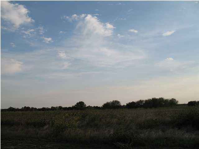 beautiful lot in a secluded neighborhood, trees on
