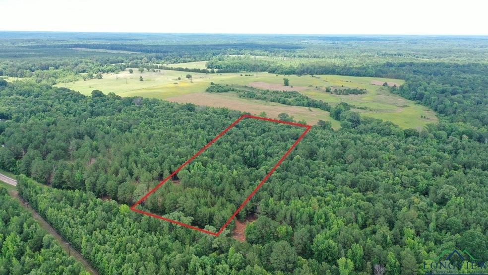 Aerial overview of property's location with a heavily wooded area and property boundaries highlighted