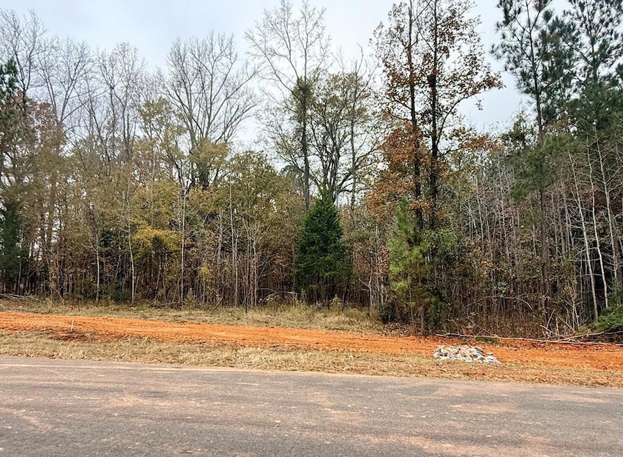 Lot 27 Rolling Meadows Way, Waverly Hall, GA 31831 - photo 1