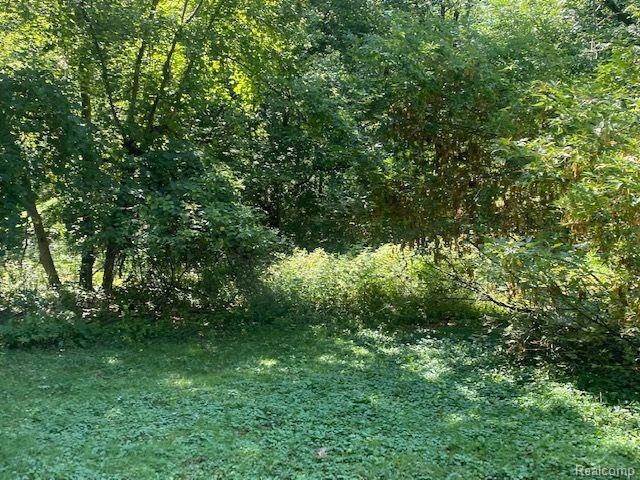 00 Bristol Rd, Clayton Township, MI 48473 - photo 1