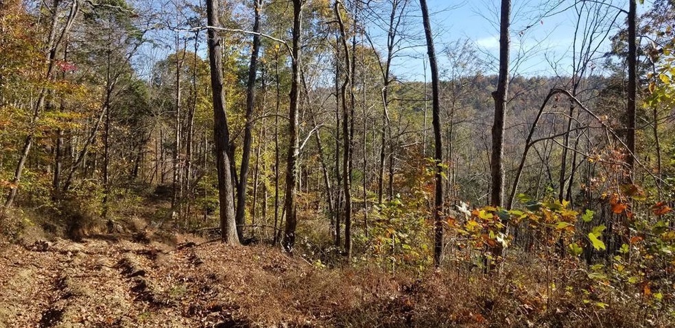 0 107 Ac Board Valley Rd unit 1137801, Cookeville, TN 38506 - photo 1