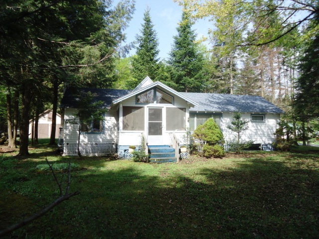 Main View